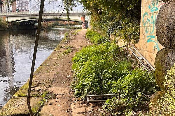 Image of dilapidated and overgrown walkways along Salford Quays 